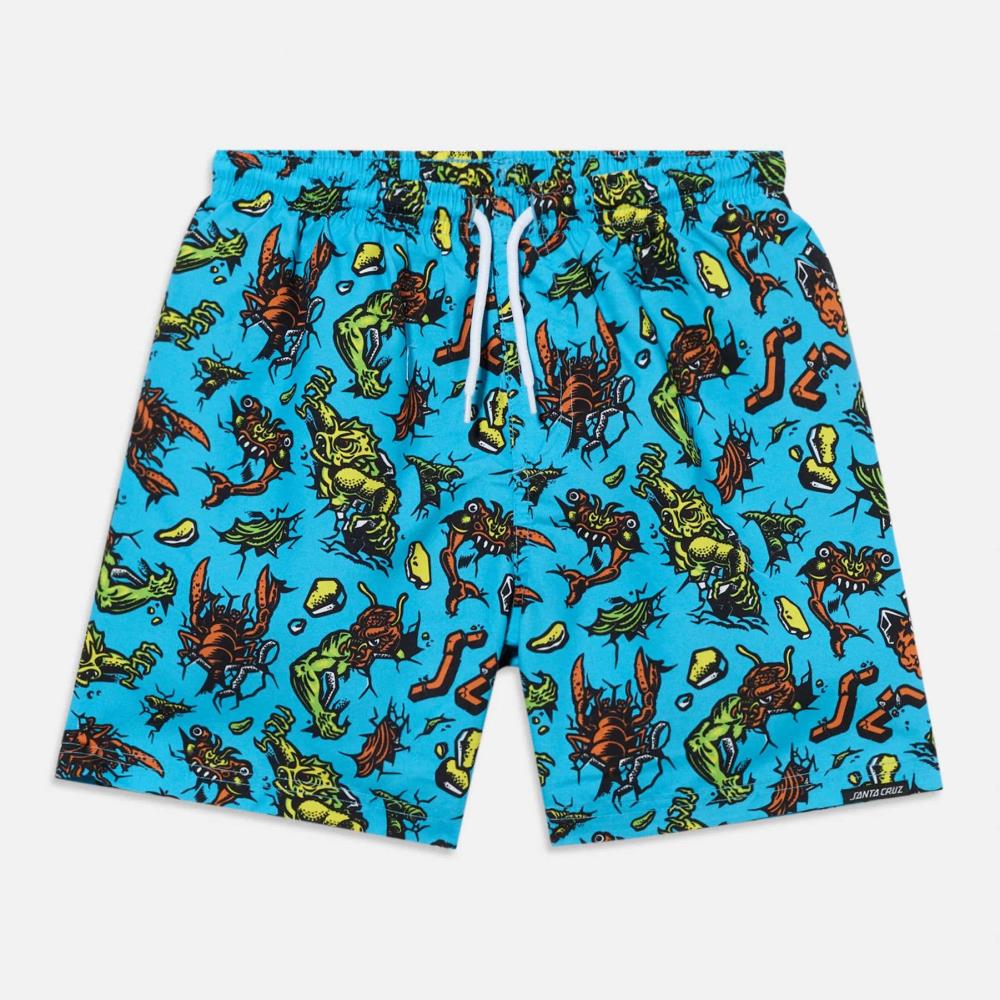 SANTA CRUZ CALCAO JR ROSKOPP MONSTER  BLUE